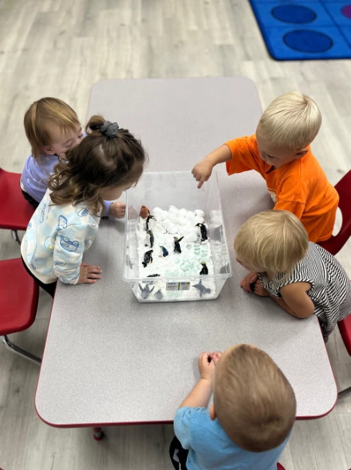 Mixed-age group of children learning together