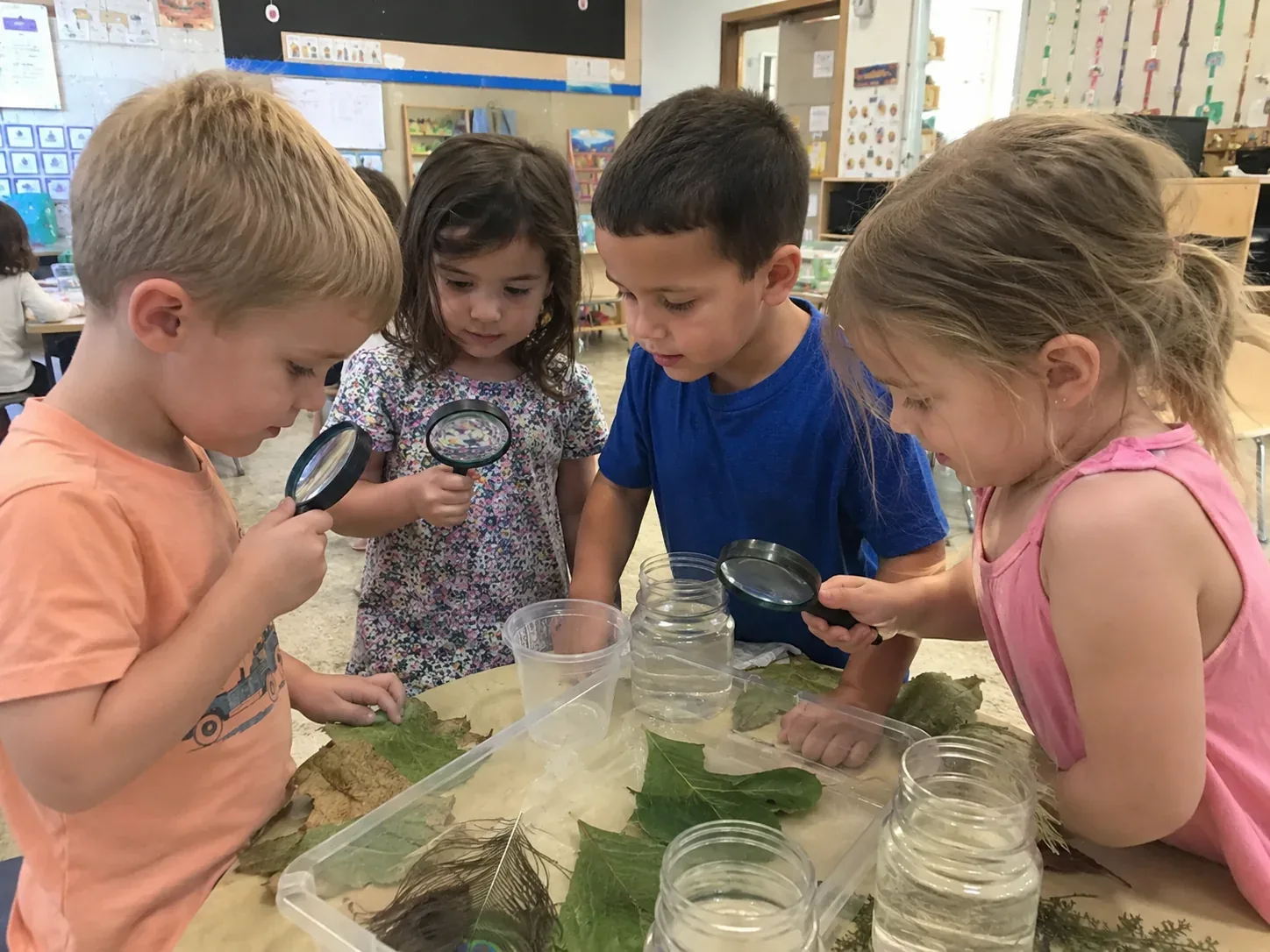 Children using magnifying glasses to examine leaves and nature specimens